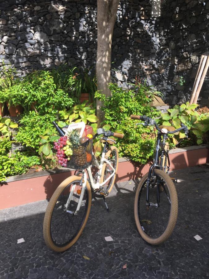 Quinta Pacos Do Lago Campanário Eksteriør bilde